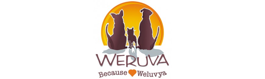 WeRuVa